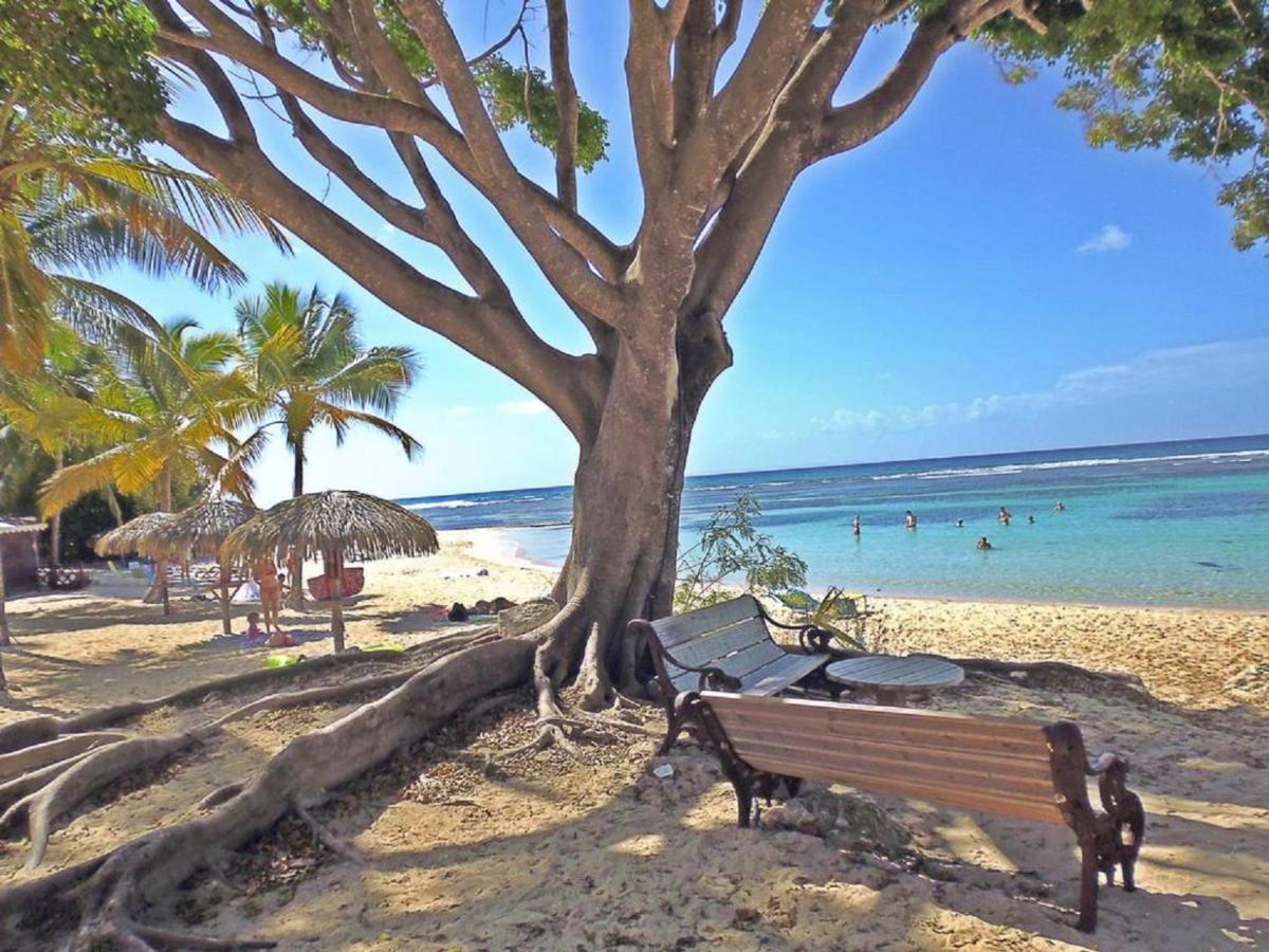 Villa Creole Domaine Prive De L'Anse Des Rochers Saint-Francois  Eksteriør billede